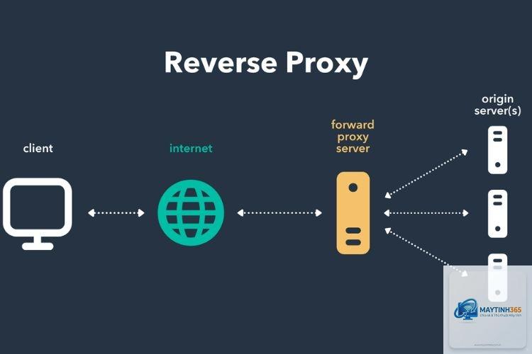 Reverse Proxy là gì - Hình 2
