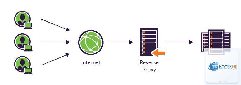 Reverse Proxy là gì - Hình 3