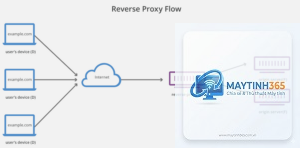 Reverse Proxy là gì