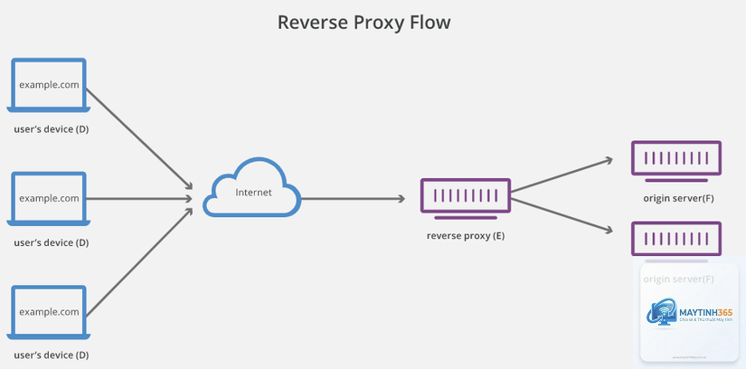 Reverse Proxy là gì