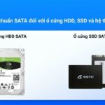 SATA là gì? Giải mã chuẩn kết nối ổ cứng phổ biến nhất mọi thời đại