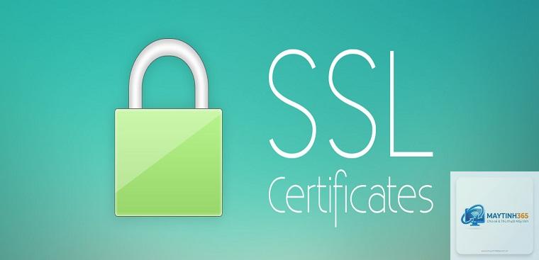 SSL là gì - Hình 2
