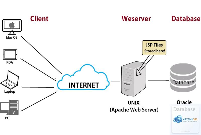 Server là gì - Hình 3