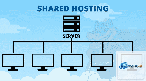 Shared Hosting là gì - Hình 2