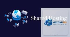Shared Hosting là gì