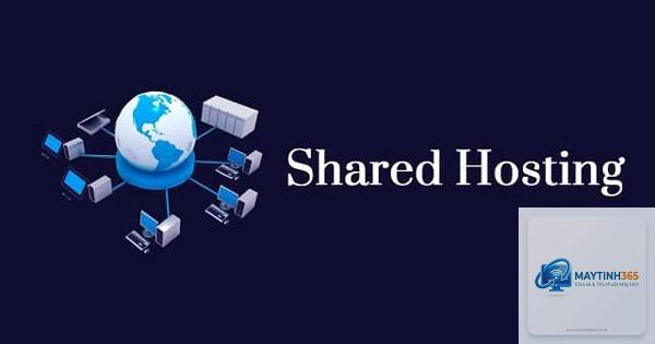 Shared Hosting là gì