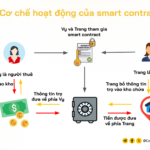Smart Contract là gì