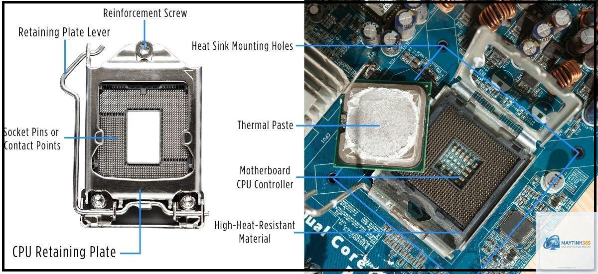 Socket CPU là gì - Hình 2