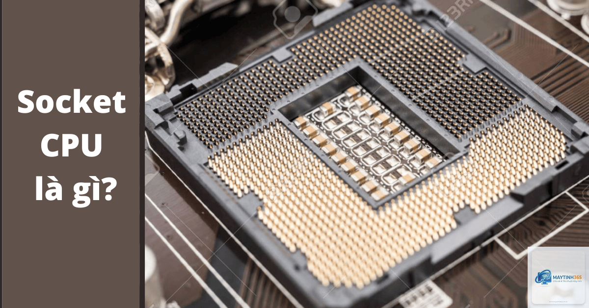 Socket CPU là gì - Hình 3