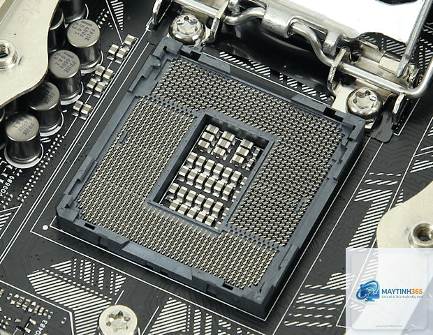Socket CPU là gì