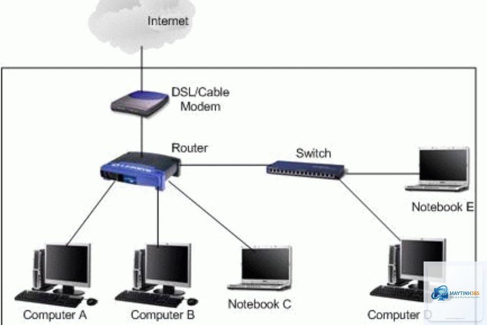 Switch là gì