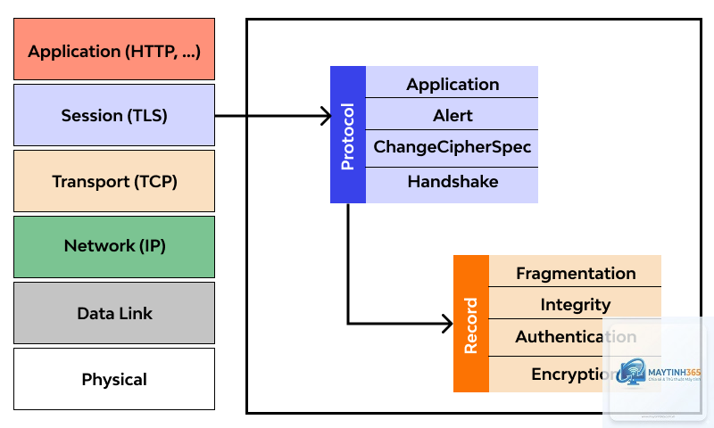 TLS là gì - Hình 3