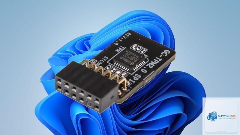 Trusted Platform Module là gì - Hình 1