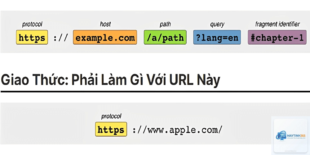 URL là gì - Hình 4