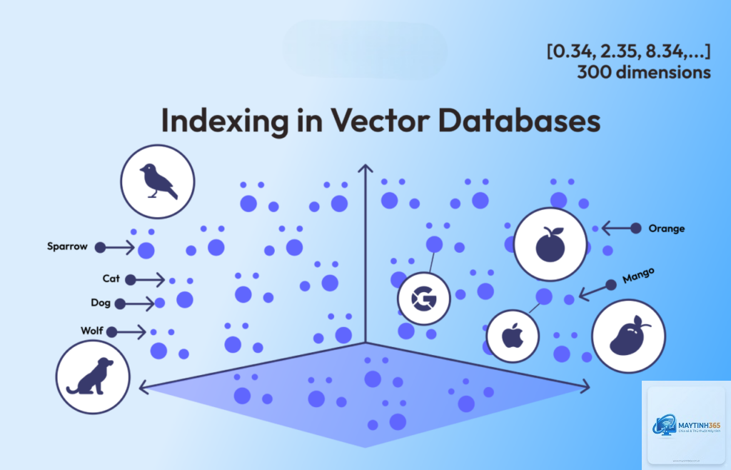 Vector Database là gì