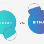 Vector Graphics là gì