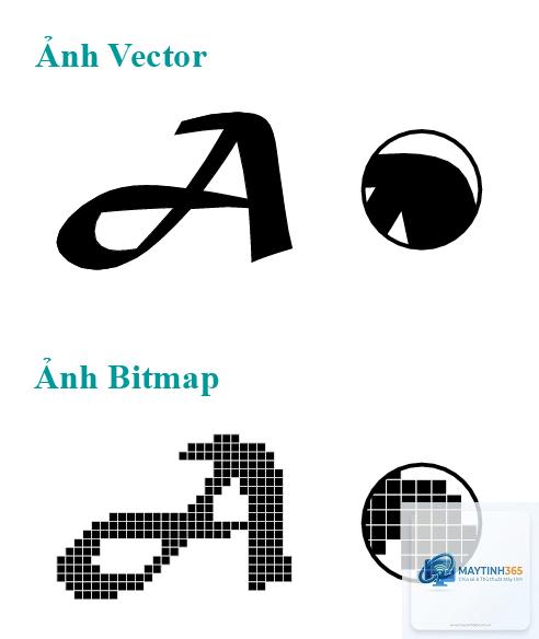 Vector Graphics là gì - Hình 4