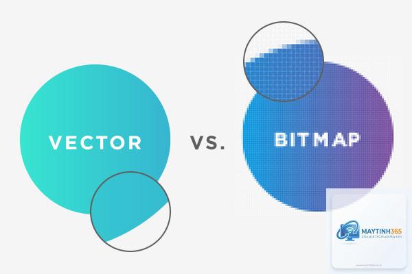 Vector Graphics là gì