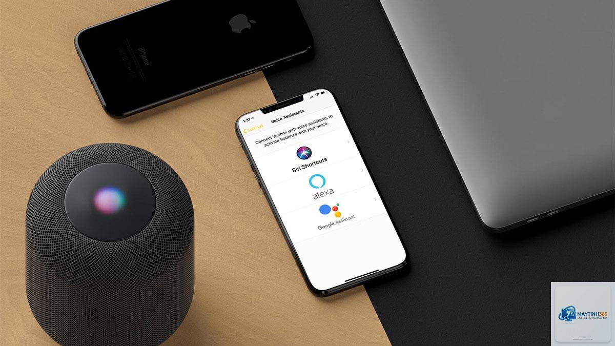 Voice Assistant là gì - Hình 3