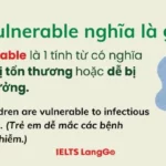 Vulnerability là gì? Hiểu đúng về lỗ hổng bảo mật để bảo vệ hệ thống toàn diện Vulnerability là gì