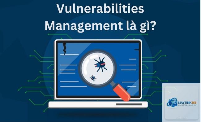 Vulnerability là gì - Hình 2