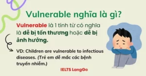 Vulnerability là gì