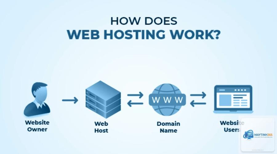 Web Hosting là gì - Hình 2
