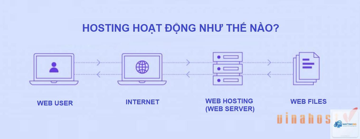 Web Hosting là gì - Hình 3
