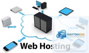 Web Hosting là gì