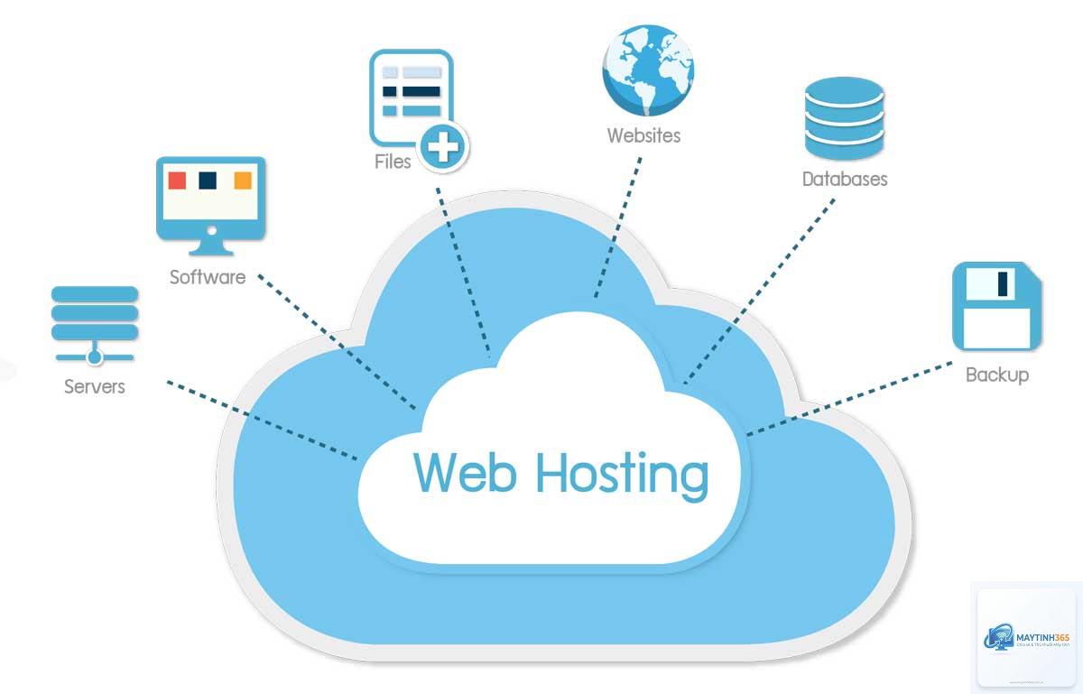 Web Hosting là gì - Hình 5