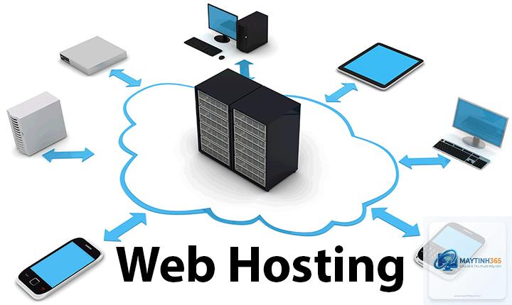 Web Hosting là gì