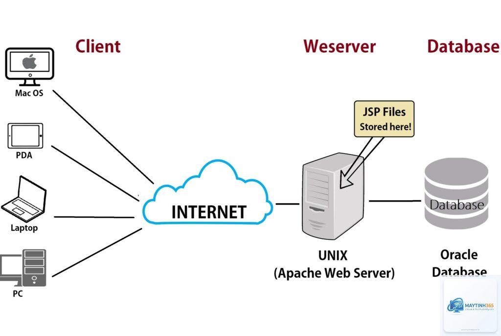 Web Server là gì