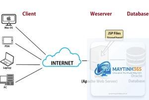 Web Server là gì