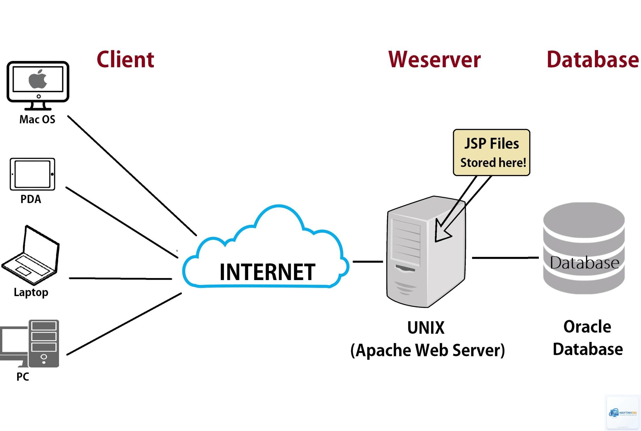 Web Server là gì - Hình 1