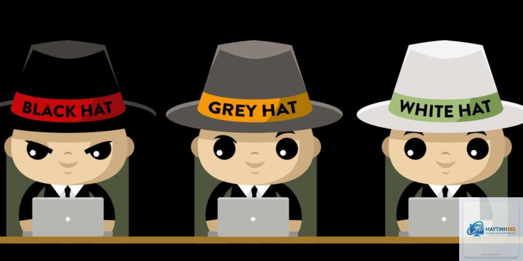 White Hat Hacker là gì - Hình 3