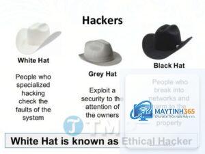 White Hat Hacker là gì