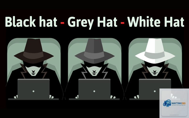 White Hat Hacker là gì - Hình 4