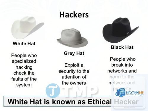 White Hat Hacker là gì