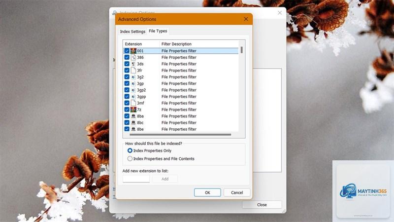 cách ẩn file trên windows 11 - Hình 5