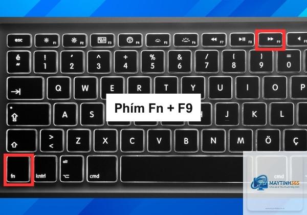 cách bật touchpad windows 11