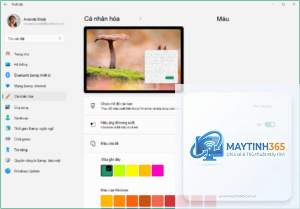 cách cá nhân hóa màu sắc hiển thị