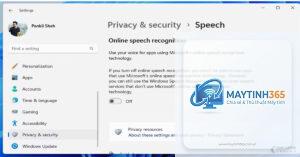 cách cá nhân hóa security settings windows 11
