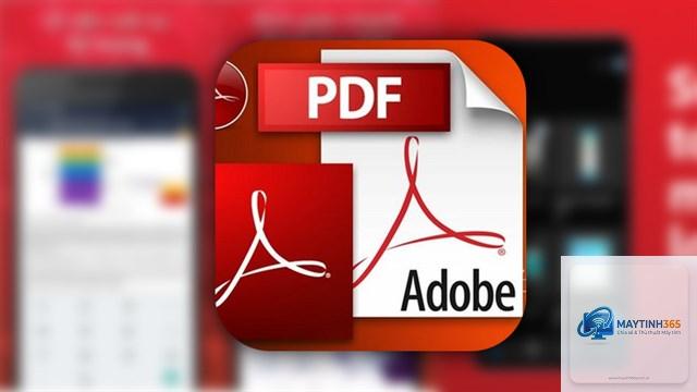 cách cài adobe reader trên windows 11