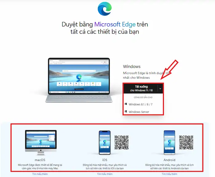 cách cài edge trên windows 11 - Hình 5