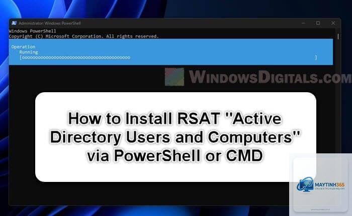 cách cài rsat trên windows 11 - Hình 3