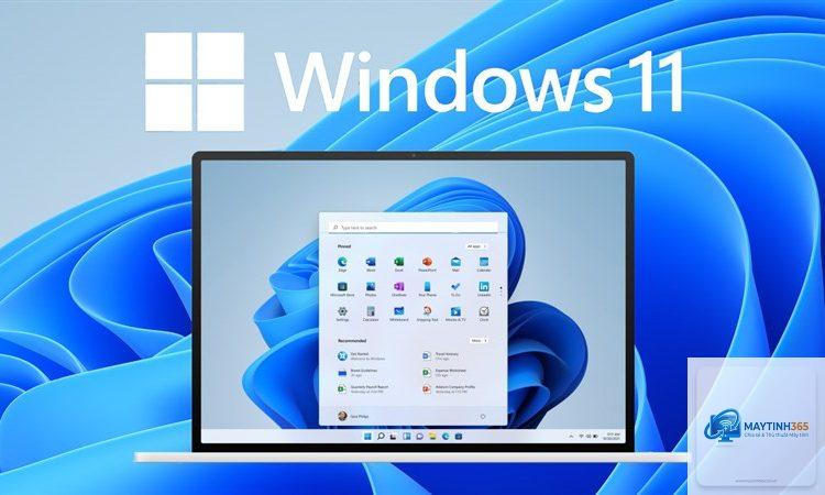 cách cài windows 11 - Hình 5