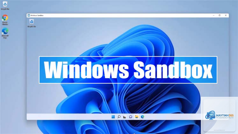 cách cài windows sandbox - Hình 2