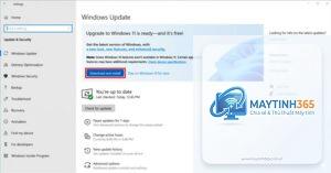 cách cập nhật chính sách windows