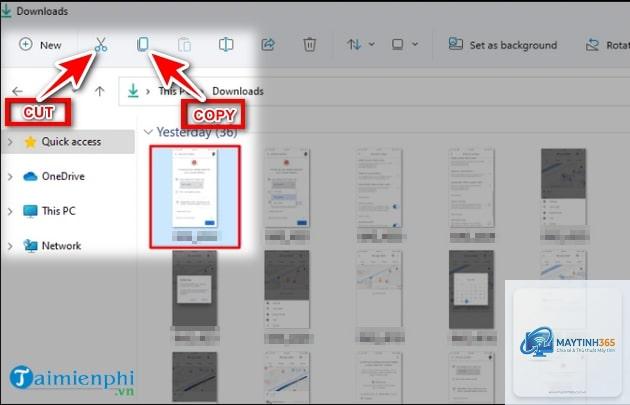 cách cắt file trong file explorer - Hình 4