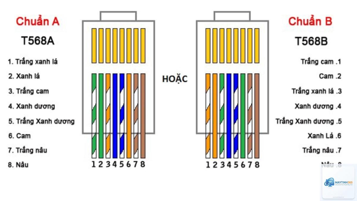 cách cấu hình mạng dây - Hình 2